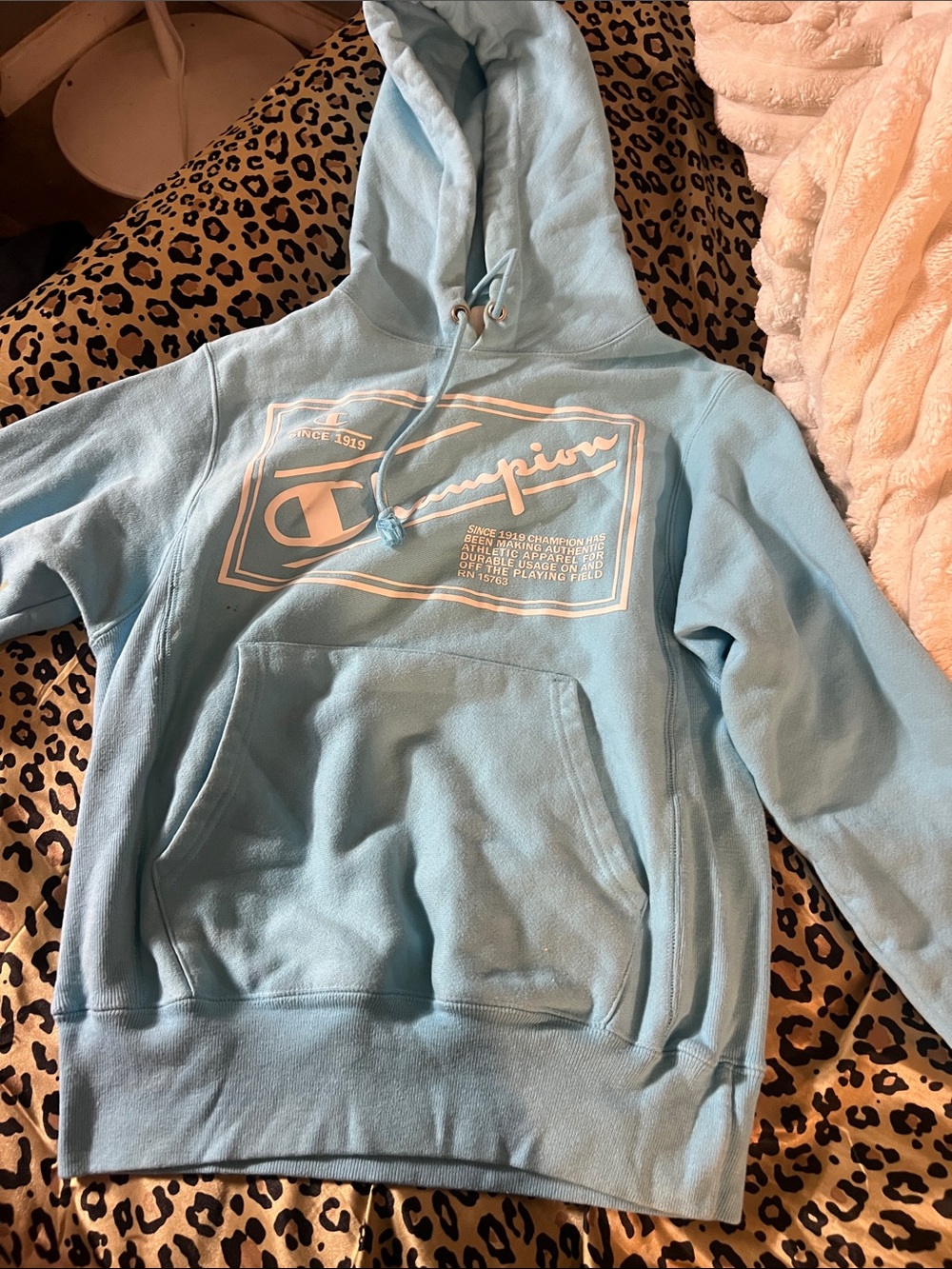 Champion Sky Blue Logo Pullover Hoodie